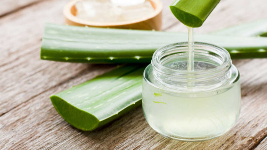 les bienfaits de l'aloe vera sur les cheveux